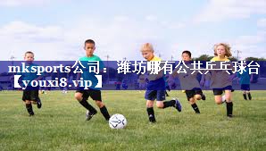 mksports公司：潍坊哪有公共乒乓球台