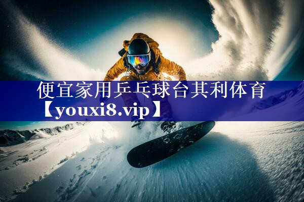 便宜家用乒乓球台其利体育