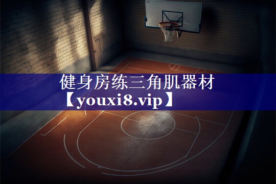 健身房练三角肌器材