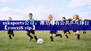 潍坊哪有公共乒乓球台 潍坊哪有公共乒乓球台