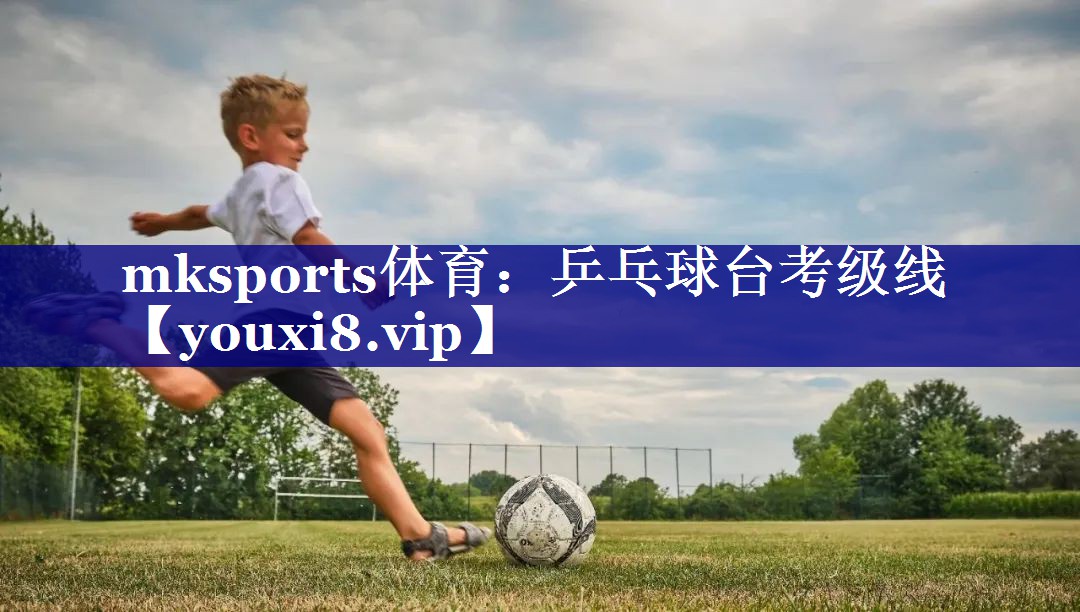 乒乓球台考级线 乒乓球台考级线